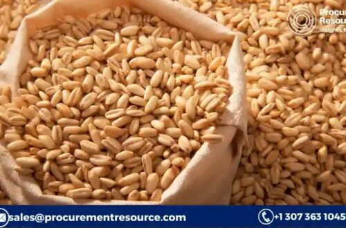 Feed Barley Production Cost