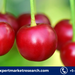 Red Berries Market Growth