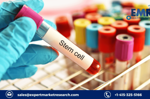 Stem Cell Market