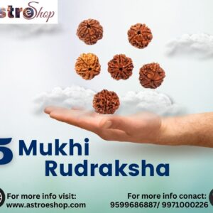 5 mukhi rudraksha benefits