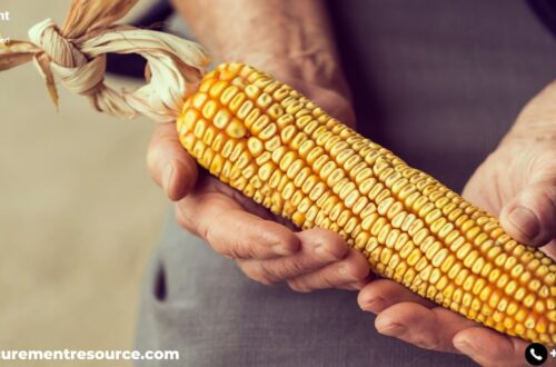 Corn Production Cost