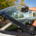 Top 5 Signs You Need Windshield Replacement